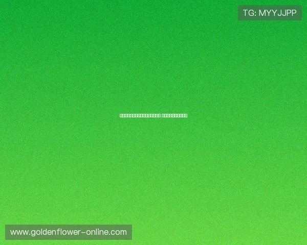 山东体育频道直播精彩赛事全面覆盖 球迷必看精彩时刻回顾